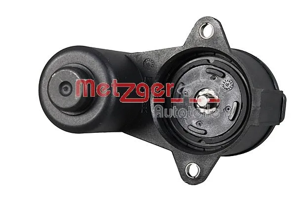Control Element, parking brake caliper
