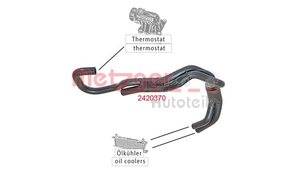 Radiator Hose (2420370)