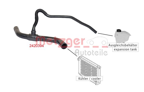 Radiator Hose (2420394)