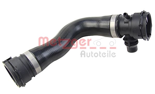 Radiator Hose (2420520)
