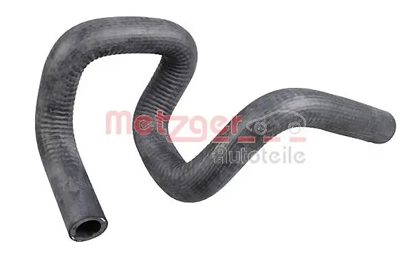 Radiator Hose (2421204)