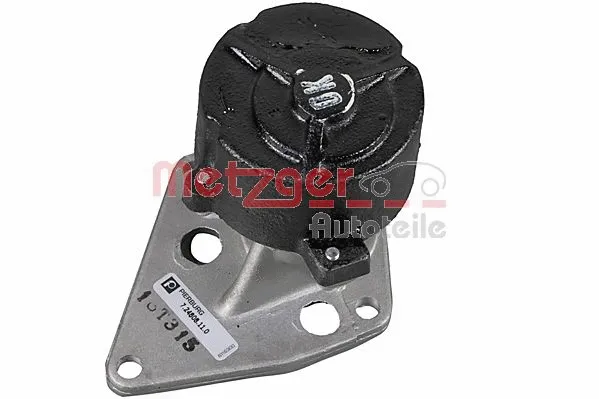 Vacuum Pump, braking system (8010056)