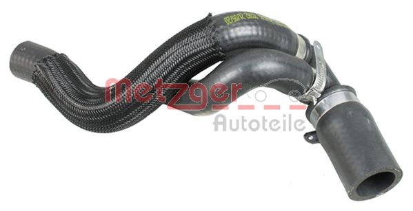 Radiator Hose (2420680)