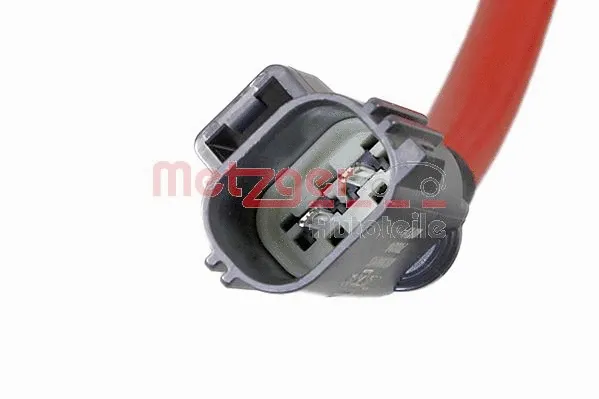 Injection Unit, soot/particulate filter regeneration