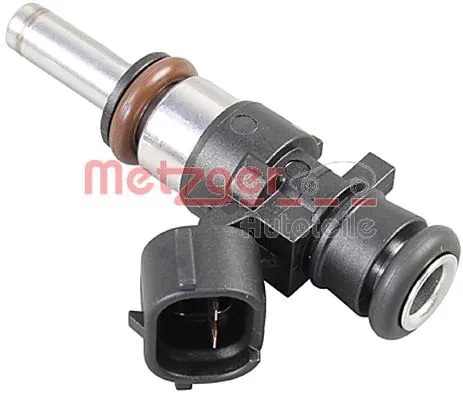 Injector (0920020)