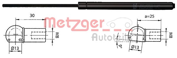 Gas Spring, boot/cargo area (2110338)