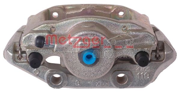 Brake Caliper (6250743)