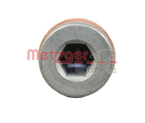 Screw Plug, oil sump (8030054)