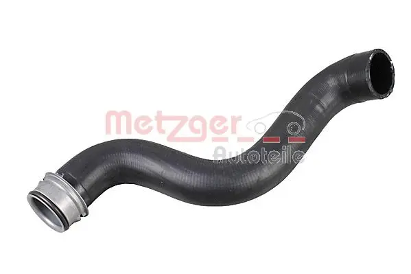 Radiator Hose (2421182)