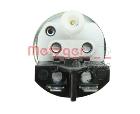 Fuel Pump (2250058)