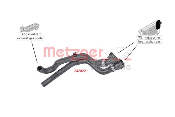 Radiator Hose (2420221)