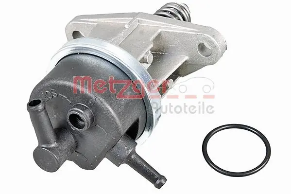 Fuel Pump (2250485)
