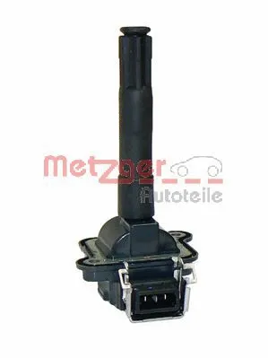 Ignition Coil (0880079)