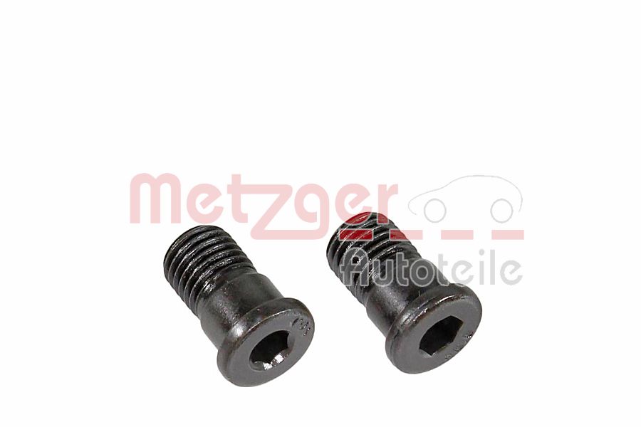 Bolt, brake disc (11666K)