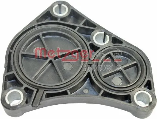 Locking Cover, camshaft (2389101)