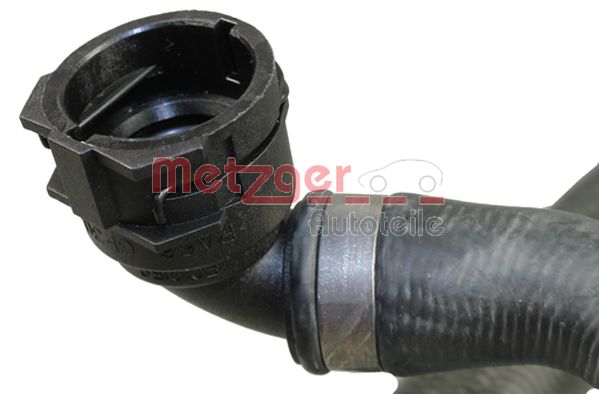 Radiator Hose