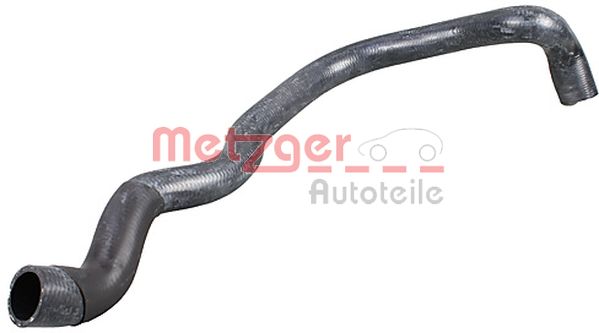 Radiator Hose (2420963)