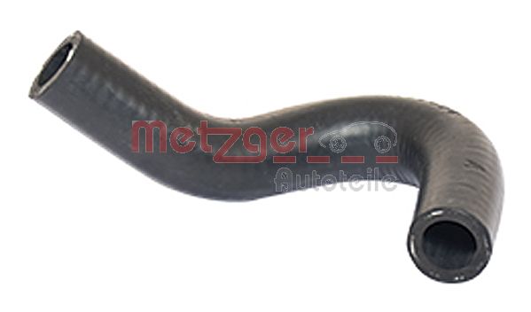 Radiator Hose (2420413)