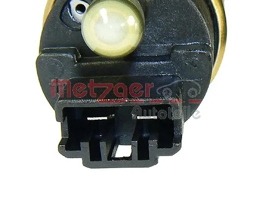 Fuel Pump (2250003)