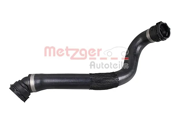 Radiator Hose (2421354)