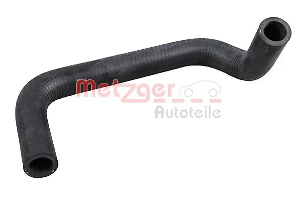 Radiator Hose (2421205)