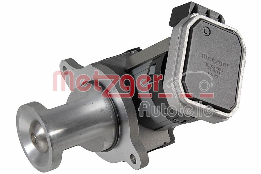 EGR Valve (08920031)