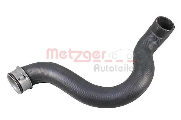 Radiator Hose (2421180)