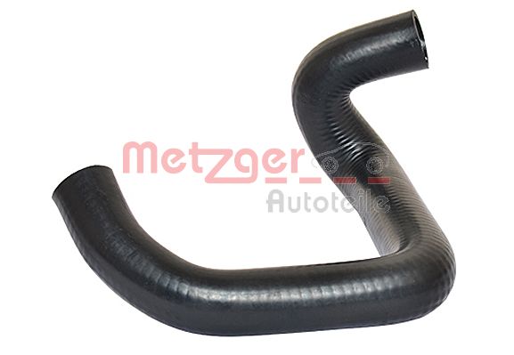 Radiator Hose (2420246)
