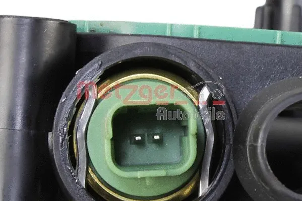 Thermostat, coolant