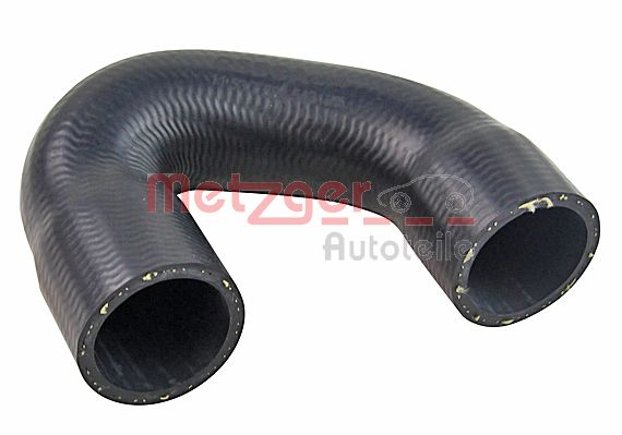 Radiator Hose (2420632)