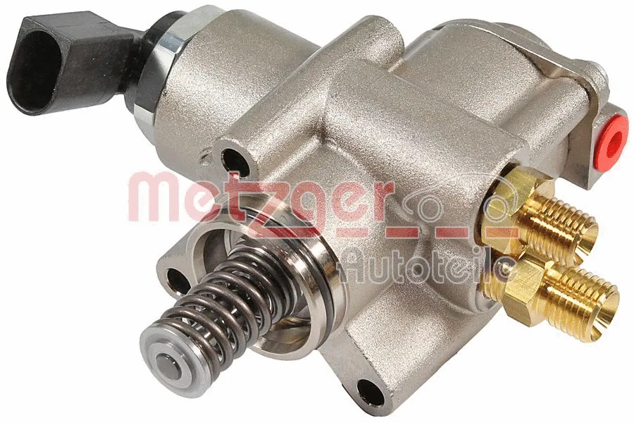 High Pressure Pump (2250503)