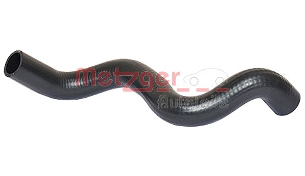 Radiator Hose (2420689)