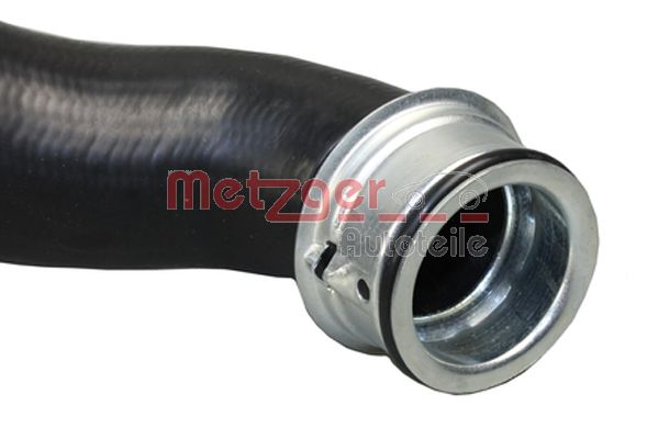 Radiator Hose (2420330)