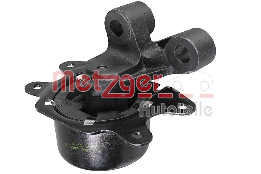 Mounting, engine (8054319)