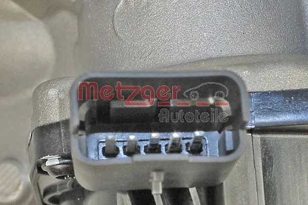 EGR Module