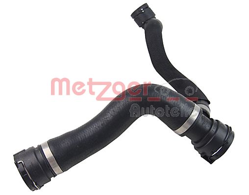 Radiator Hose (2420551)