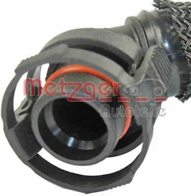 Hose, crankcase ventilation