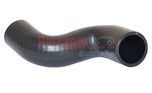 Radiator Hose (2420691)