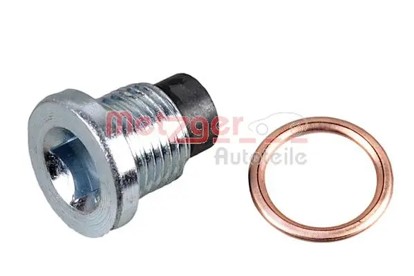 Screw Plug, oil sump (8030096)