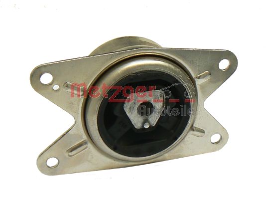Mounting, engine (8053654)