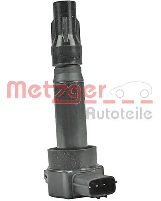 Ignition Coil (0880437)