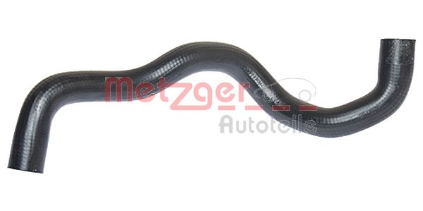 Radiator Hose (2420425)