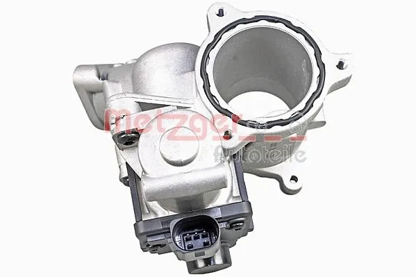 EGR Module