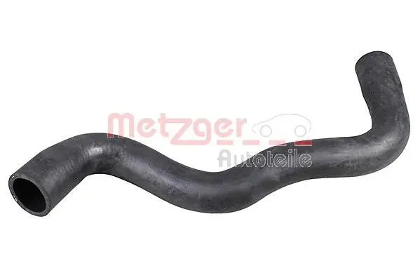 Radiator Hose (2421142)