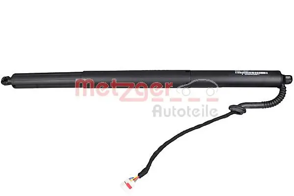 Electric Motor, tailgate (2115008)