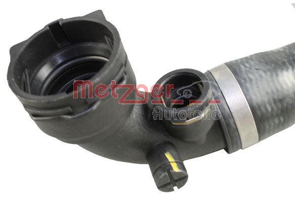 Radiator Hose (2420574)