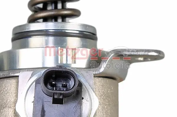 High Pressure Pump (2250394)