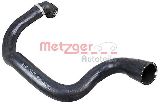 Radiator Hose