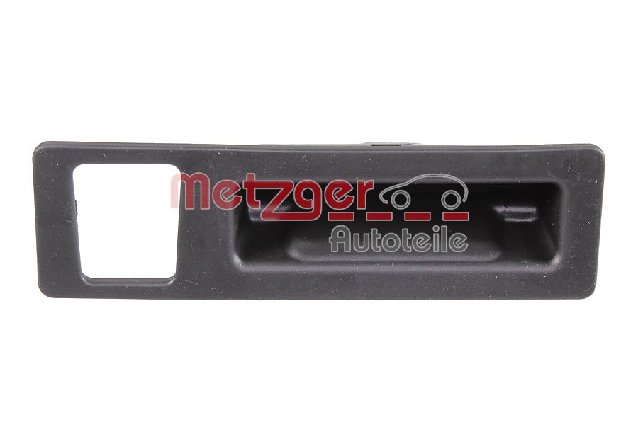 Tailgate Handle (2310855)