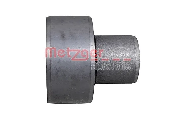 Bushing, axle beam (52084409)